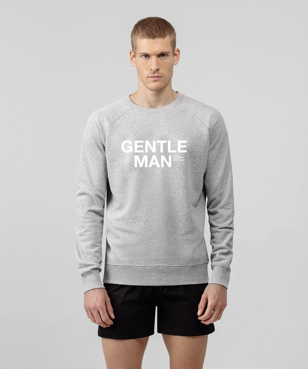 Sweatshirt "GENTLE": Grey Melange