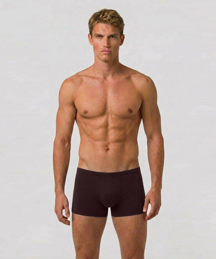 Boxer Briefs: Espresso Nude