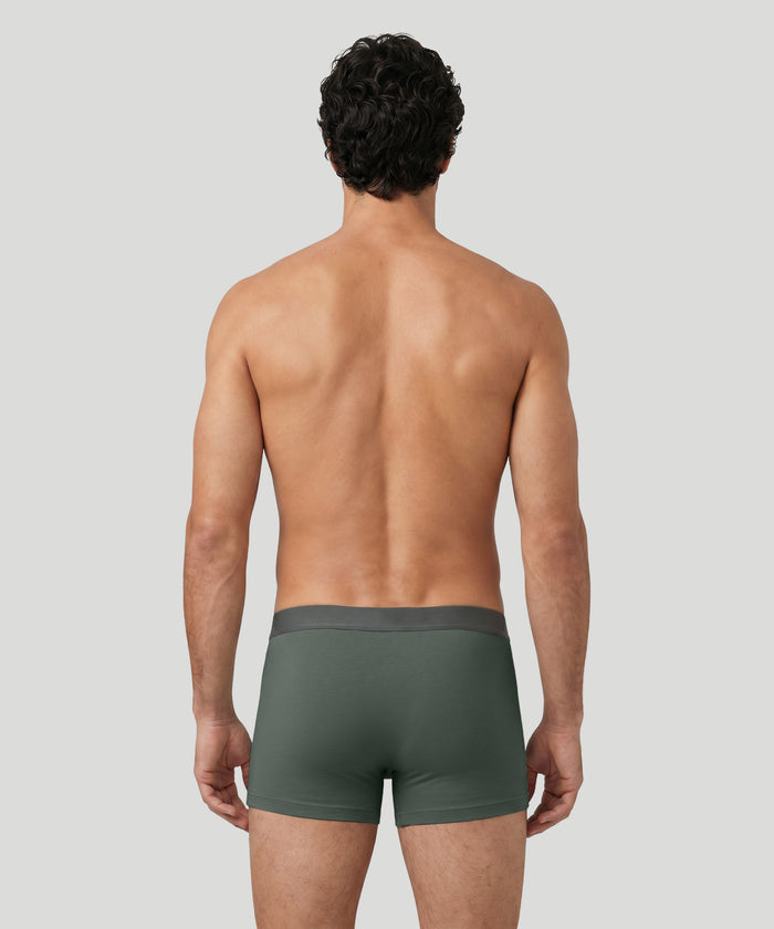 RON DORFF Boxer Briefs: Balsam Green